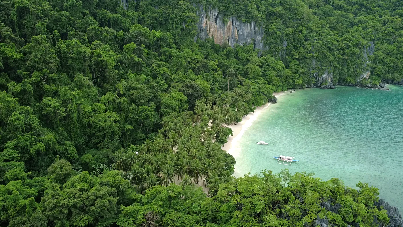 Aerial of a forested headland above a small cove with a boat, Palawan